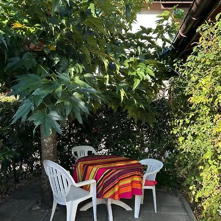 Jardin, Animaux Ok - 4 Pers. - Fr-1-878-76 Apartment *